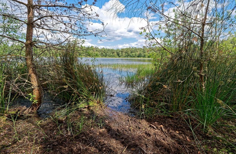 The Bullensee is located in a moorland area and is part of the Bullensee and Hemelsmoor nature reserve near the town of Zeven in the district of Rotenburg (Wümme) in Lower Saxony. The lake is also a local recreation area in the Bremen and Rotenburg/Wümme region. Bülstedt, Rotenburg, Lower Saxony, Germany