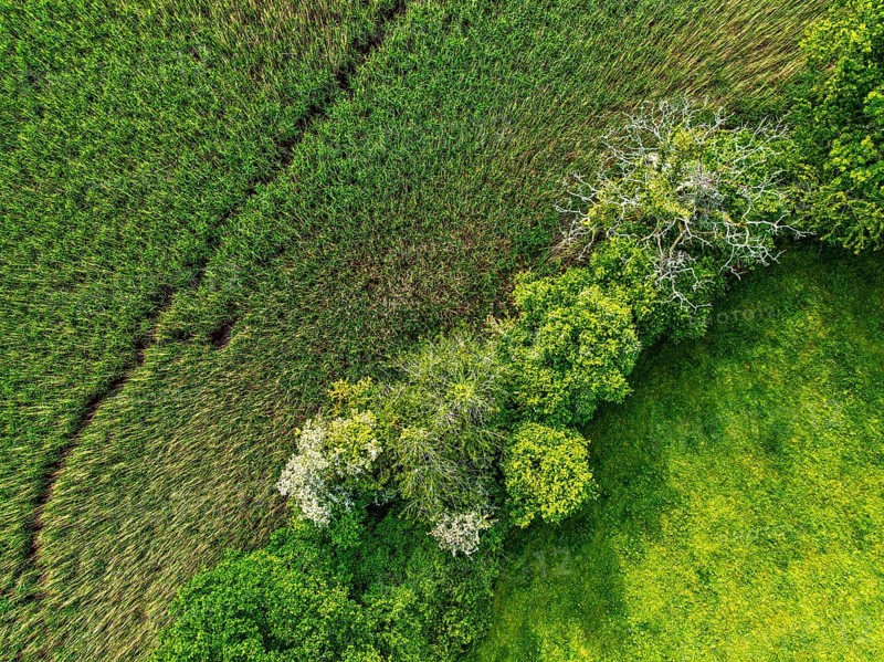 Top Down over Marshes over River Dart from a drone, Stoke Gabriel, Totnes, Devon, England, United Kingdom