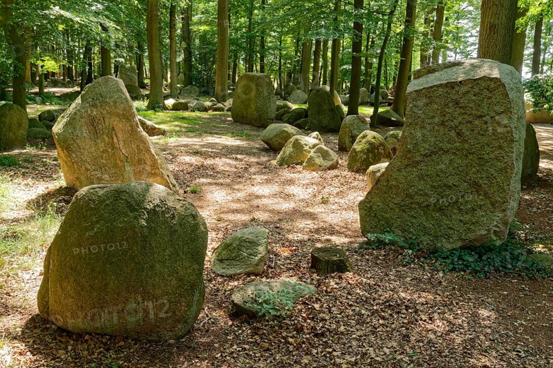 Erratic blocks in the Neuenknick erratic block forest in the Teutoburg Forest. Around 2000 of the ice-age relics have been brought together in a collection. The erratic boulder forest includes a nature discovery trail and is equipped as a leisure and recreation centre. Petershagen, North Rhine-Westphalia. Germany