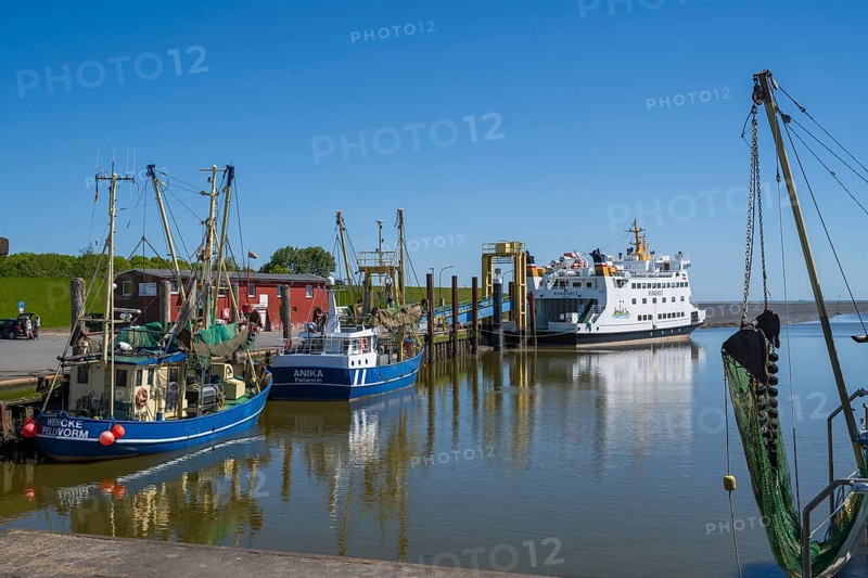 Fishing boats in the harbour of Tammensiel, Pellworm Island, North Frisia, North Sea, North Frisia, Schleswig-Holstein, Germany
