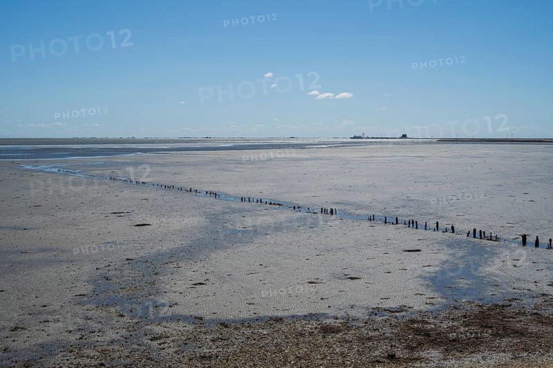 Wadden Sea at low tide, groynes, breakwater, Schleswig-Holstein Wadden Sea National Park, Pellworm Island, North Frisia, North Sea, Schleswig-Holstein, Germany