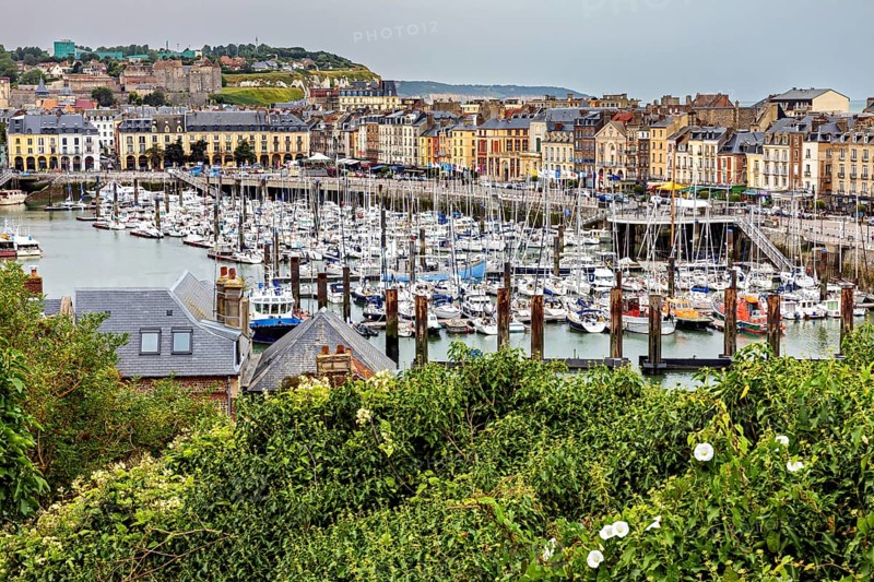 Harbour with numerous boats, surrounding city buildings and green vegetation in the foreground, The harbour of Dieppe in Normandy, France