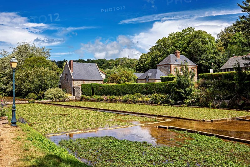 Sprawling fields with brick houses under a blue sky, surrounded by green nature, the historic mill village of Veules Les Roses in Normandy, France
