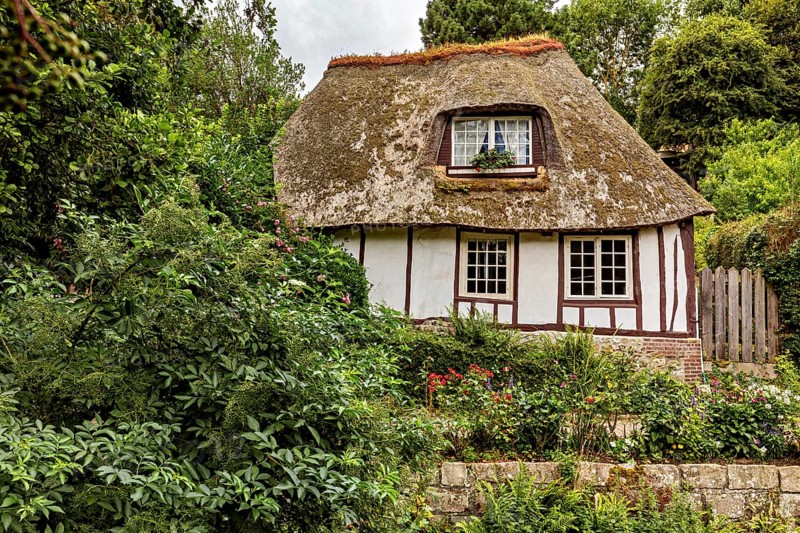 Thatched half-timbered house surrounded by dense vegetation in a rural setting, the historic mill village of Veules Les Roses in Normandy, France