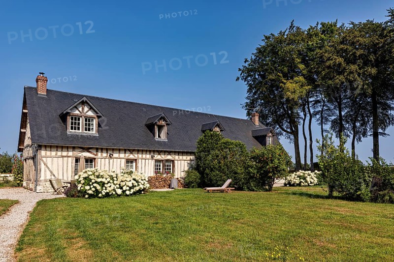 Rural half-timbered house with flowering garden and large trees under a blue sky, Historic houses in Normandy in France
