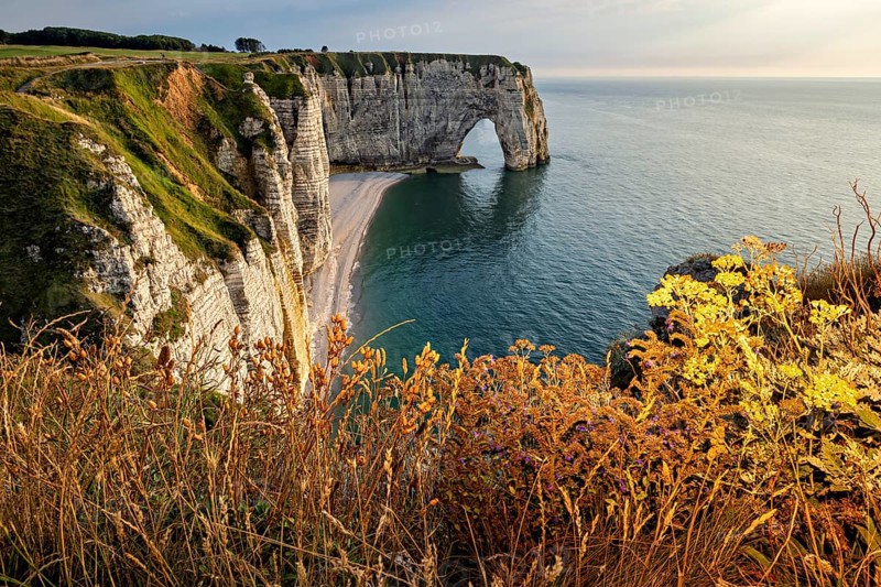 Coastline with majestic cliffs and natural rock arches surrounded by flowering plants, The cliffs and alabaster coast of Etretat in Normandy France