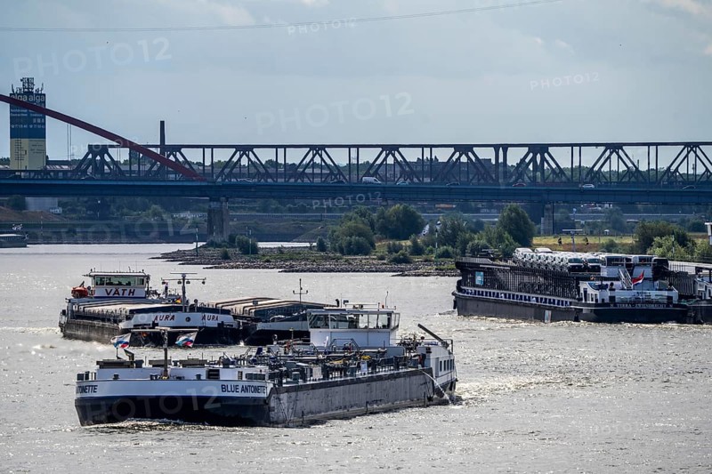 Cargo ships on the Rhine, in the background the Rhine bridge near Duisburg-Rheinhausen, Bridge of Solidarity, Duisburg, North Rhine-Westphalia, Germany