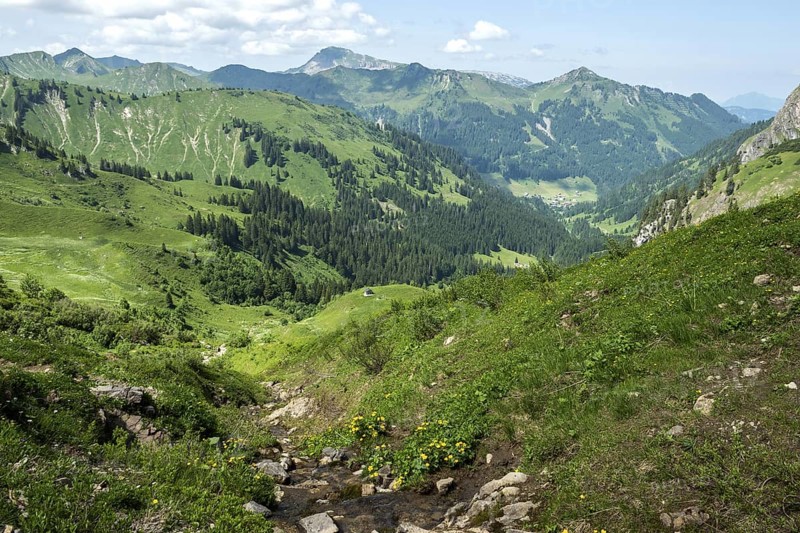 View from the hiking trail to the Hochalp Pass into Kleinwalsertal, behind Walmendinger Horn, Bärgunttal, near Baad, Allgäu Alps, Vorarlberg, Austria