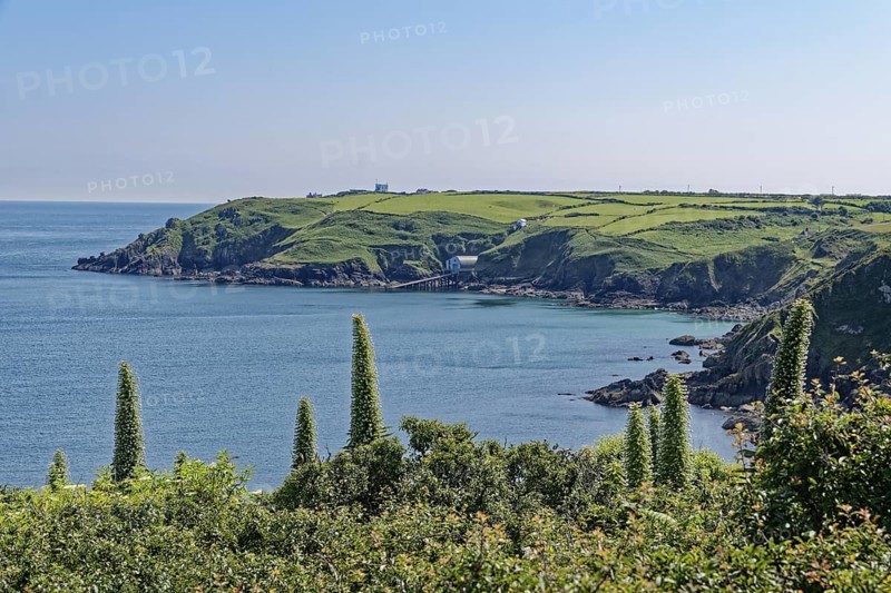 Landscape on the south-east coast near the southern tip of Cornwall on the English Channel. Cadgwith, Cornwall, South West England, Great Britain