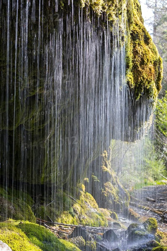 Dietfurt Waterfall, a moss waterfall in the Wutach Gorge, Black Forest, Baden-Württemberg, Germany