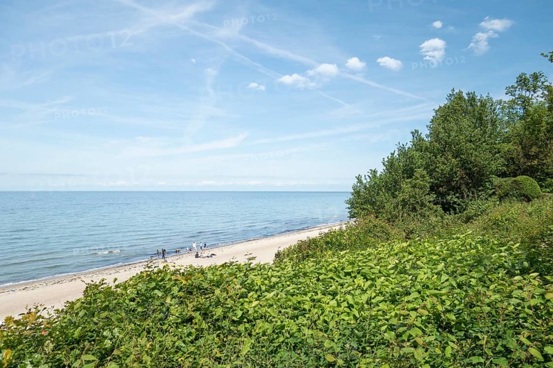 Natural sandy beach, Baltic resort Rerik, Baltic Sea, Rostock district, Mecklenburg-Western Pomerania, Germany