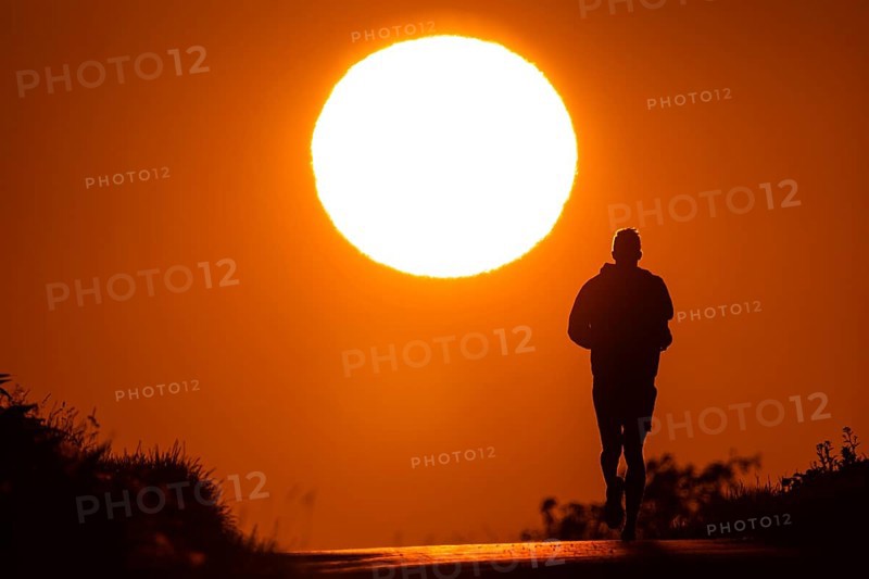 A jogger runs at sunrise on a country lane near Frankfurt am Main, Frankfurt am Main, Hesse, Germany