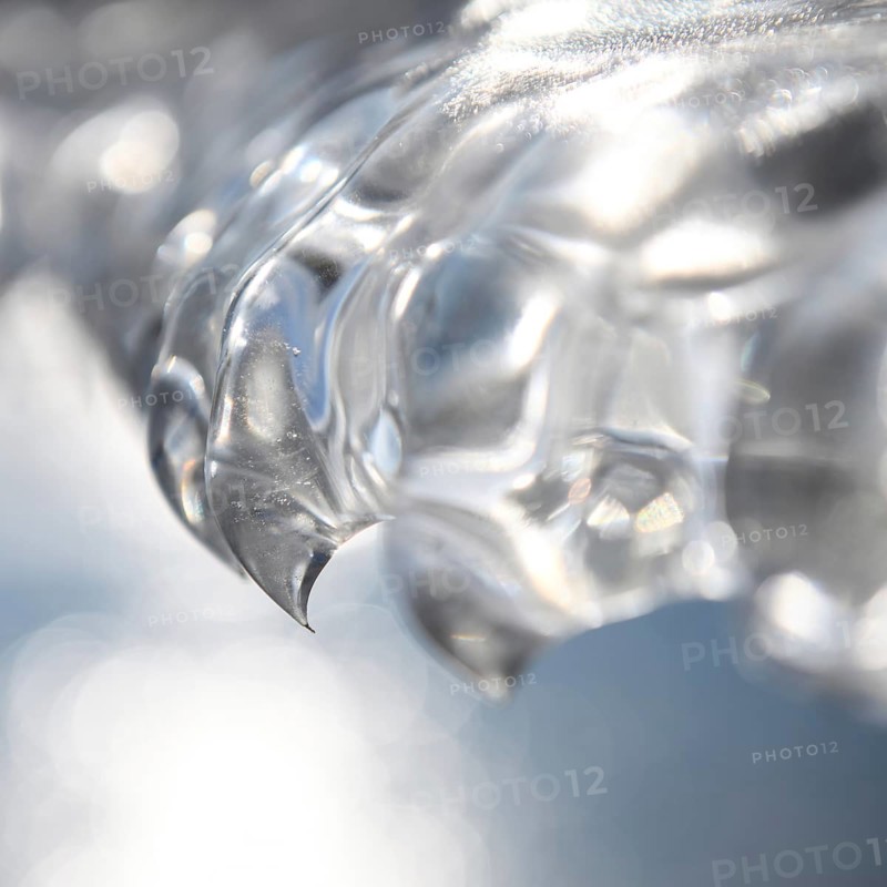 Needle point... Ice tooth (winter flood and cold snap 2020, 2021), ice formed by wind, weather and floods, weather situation, Bislicher Insel near Xanten, nationally known nature reserve, Wesel district, Lower Rhine, Rhineland, North Rhine-Westphalia, Germany, Western Europe