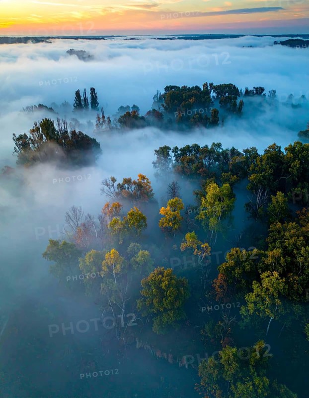 Mystical foggy landscape in autumn, colorful forest with fog in an aerial drone view, AI generated