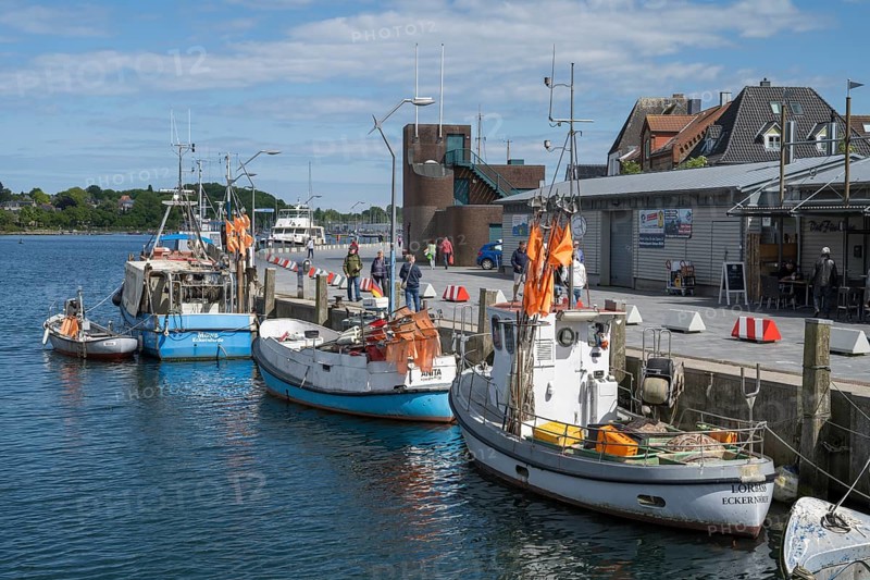 Fishing boats in the harbour, Eckernförde, Baltic Sea, Schleswig-Holstein, Germany