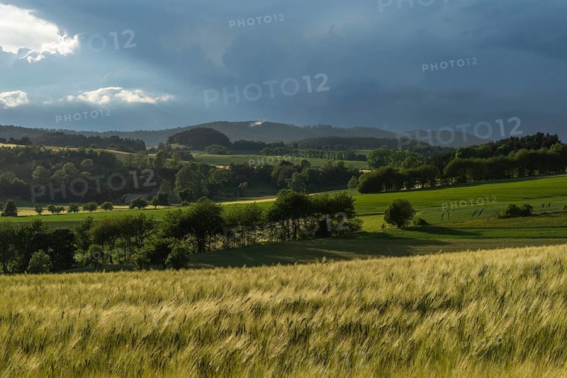 Dramatic cloudy sky with approaching storm and last rays of sunshine, Frankenhain, dark cloud wall, thunderstorm in the lift, low mountain landscape, agriculture, forest, grain field, backlight shot, municipality of Berkatal, Werra-Meissner-Kreis, Hesse, Germany