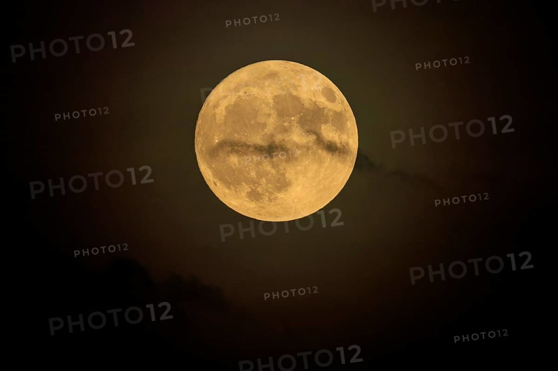 Yellow full moon shines calmly in the nightly darkness, full moon, strawberry moon 2025, Germany