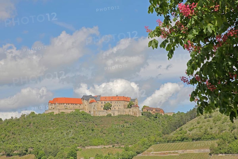 Neuenburg Castle, Freyburg, Romanesque Road, Saxony-Anhalt, Germany