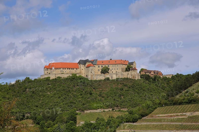 Neuenburg Castle with vineyards, Freyburg, Romanesque Road, Saxony-Anhalt, Germany