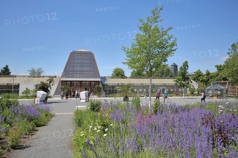 Strollers at the palm house in the spa gardens, tourists, pedestrians, Bad Dürrenberg, Saxony-Anhalt, Germany