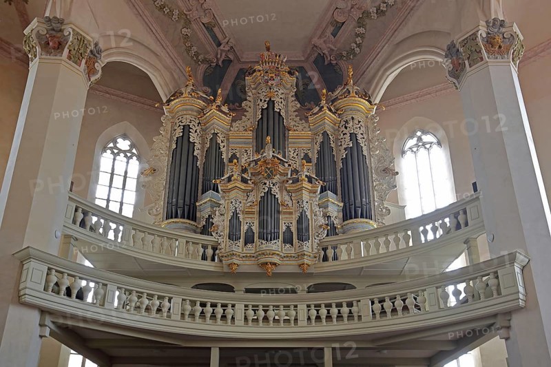 Organ of the baroque town church, pulpit dome, soundboard, pulpit canopy, interior view, St Wenceslas, town church, Saale, Naumburg, Saxony-Anhalt, Germany