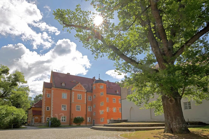 Prince's house backlit by the former Cistercian abbey, Schulpforte, Pforta State School, Bad Kösen, Saale, Naumburg, Saxony-Anhalt, Germany