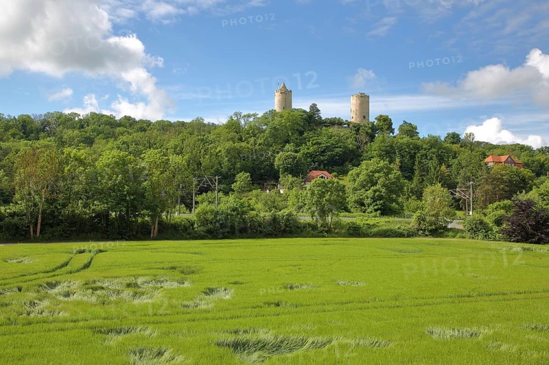 Castle with towers in the forest on the hill, green field with pattern, Saaleck, Bad Kösen, Saale, Naumburg, Saxony-Anhalt, Germany