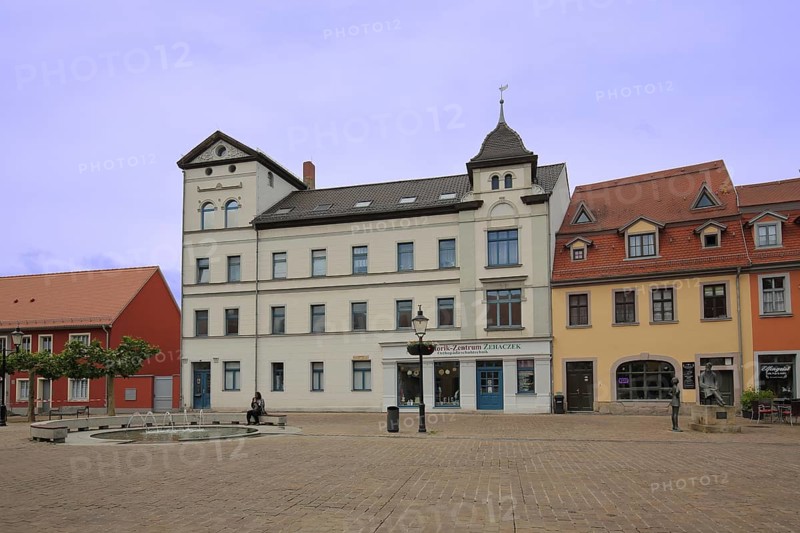 Holzmarkt with houses and monument to philosopher Friedrich Nietzsche, Saale, Naumburg, Saxony-Anhalt, Germany