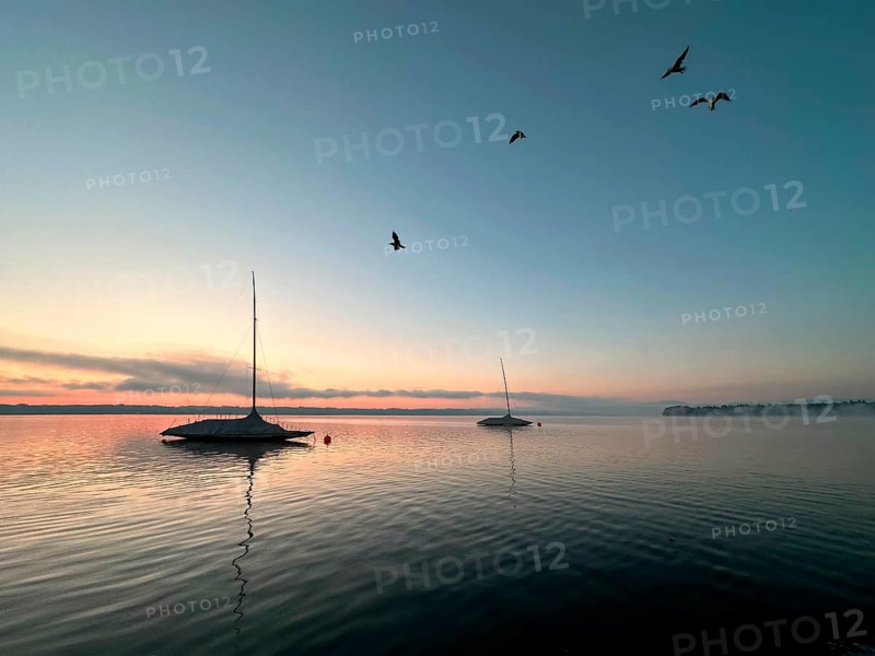 Evening mood, seagulls, sailing boats on Lake Starnberg, Bavaria, Germany
