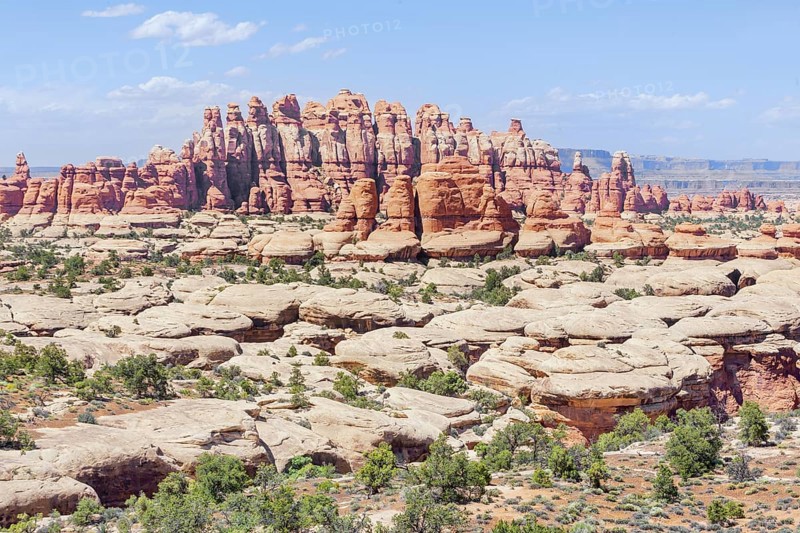 Sandstone pinnacles, Chesler Park, The Needles district, Canyonlands National Park, Utah, USA