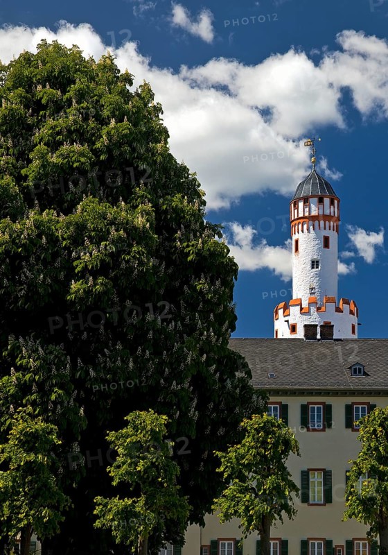 Bad Homburg vor der Höhe Castle with the White Tower, Hesse, Germany