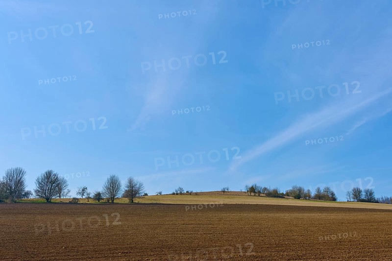 Wide fields and rows of trees under a clear blue sky convey tranquillity, Sodenberg Gans, Hammelburg, Rhön, Bavaria, Germany