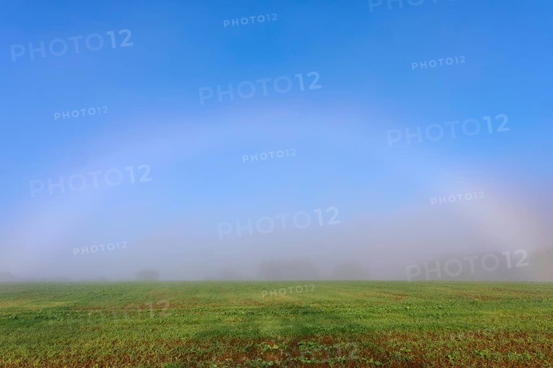 An arc of fog appears over a misty field radiating a calm atmosphere, Mönchberg, Miltenberg, Spessart, Bavaria, Germany