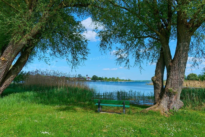 Wooden bench between trees overlooking a lake under a blue sky, Rhodes, Etang du Stock, Sarrebourg, Moselle, France