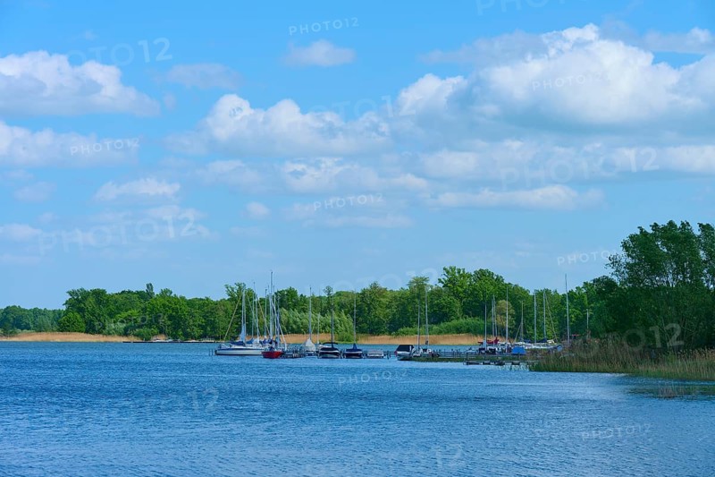 Lake with boats on the shore, surrounded by trees under a blue sky, Rhodes, Etang du Stock, Sarrebourg, Moselle, France