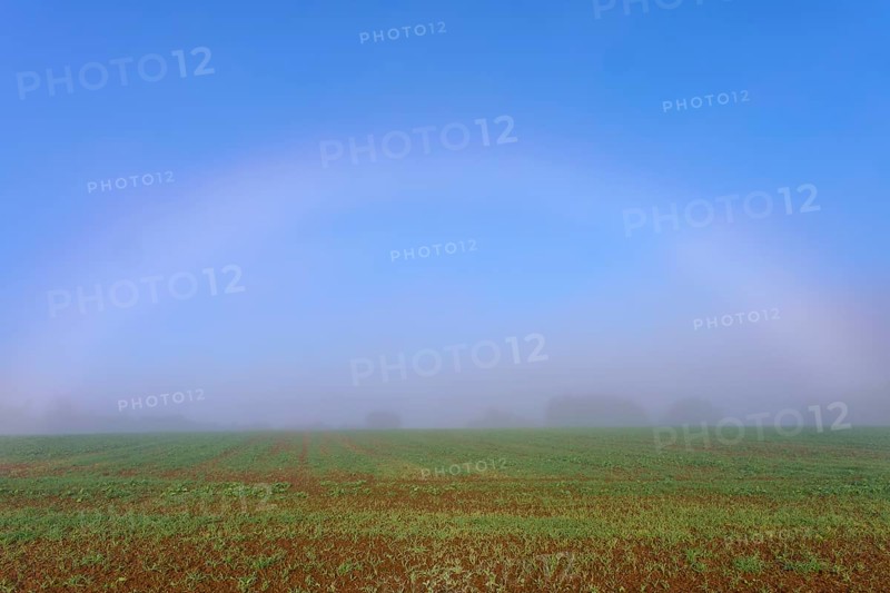 An arc of fog stretches across a misty morning sky, overlooking fields, Mönchberg, Miltenberg, Spessart, Bavaria, Germany