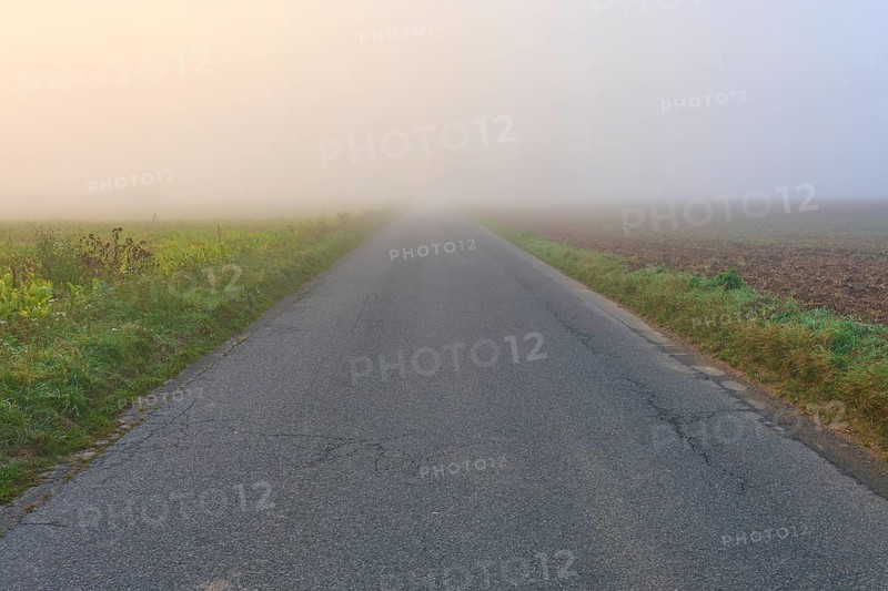 Abandoned road in the fog, flanked by fields, in calm autumn light, Mönchberg, Miltenberg, Spessart, Bavaria, Germany
