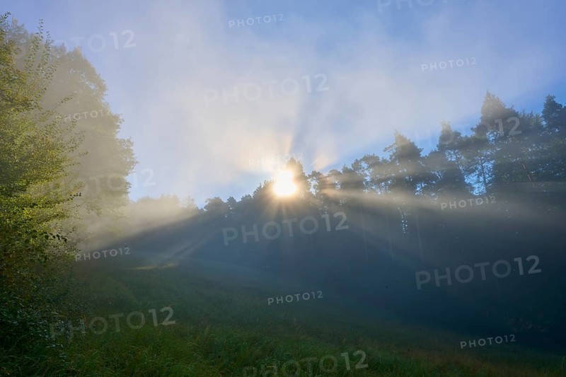 Sunbeams break through the morning mist in a forest and shine gently on it, Mönchberg, Miltenberg, Spessart, Bavaria, Germany