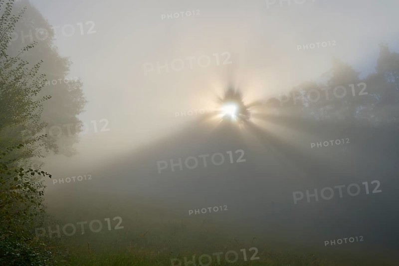 A sunrise brings calming rays of light that fall gently through the misty forest, Mönchberg, Miltenberg, Spessart, Bavaria, Germany