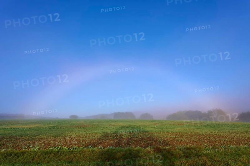 An arc of fog arches over a misty field in a quiet morning scene, Mönchberg, Miltenberg, Spessart, Bavaria, Germany