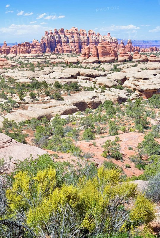 Sandstone pinnacles, Chesler Park, The Needles district, Canyonlands National Park, Utah, USA