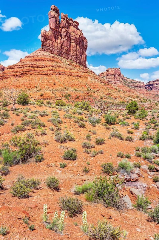Valley of the Gods, Utah, USA