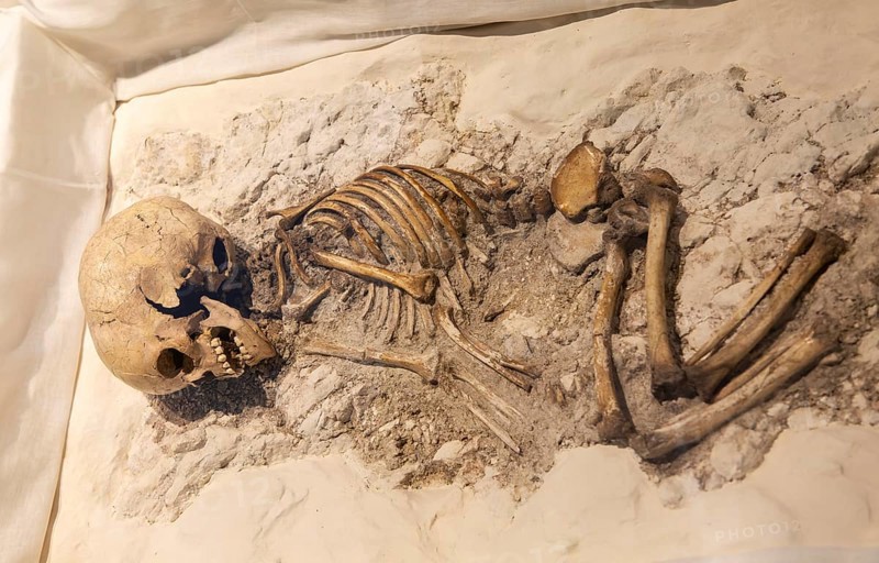 Neolithic archaeology exhibition inside Alexander Keiller Museum, Avebury, Wiltshire, England, UK - skeleton of a child