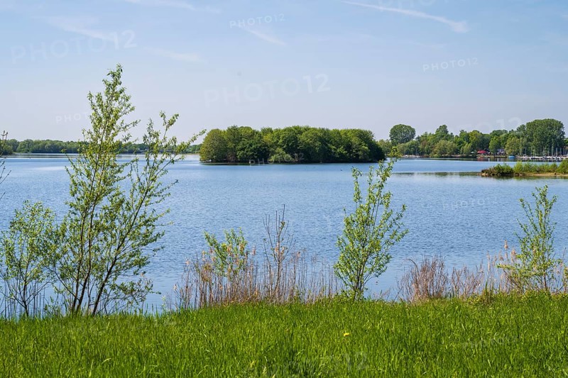 Shrubs on the shore of the Lippesee, reservoir, Sande, Paderborn, Westphalia, North Rhine-Westphalia, Germany