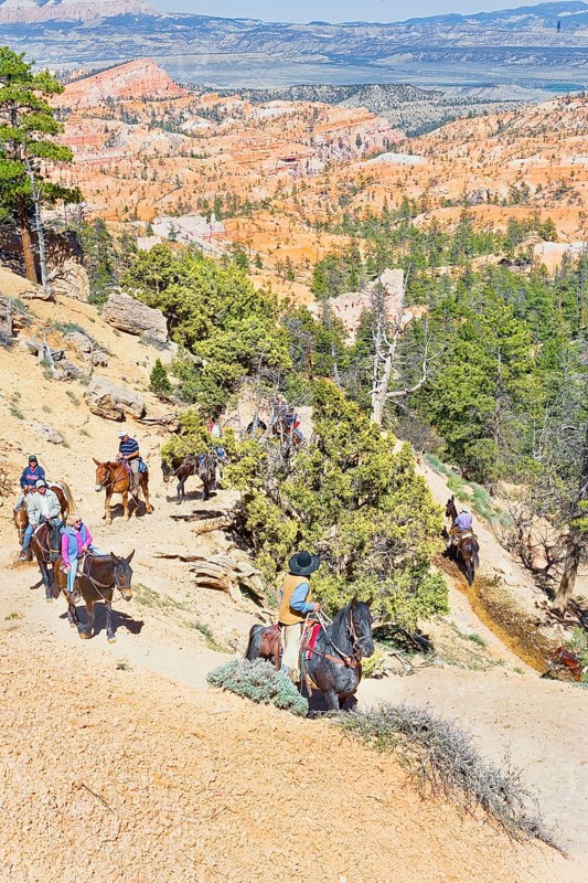 Bryce Canyon, Bryce Canyon National Park, Utah, USA