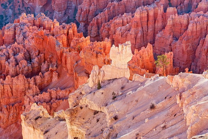 Bryce Canyon, Bryce Canyon National Park, Utah, USA