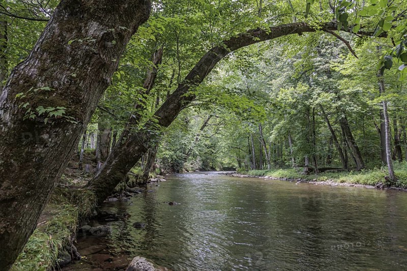 Oconaluftee River flows through the Oconaluftee Visitor Center at Great Smoky Mountains National Park near Cherokee, North Carolina, USA