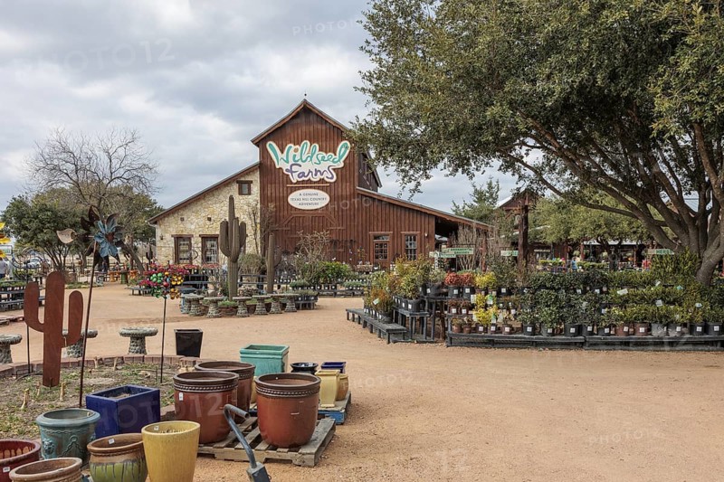 Plants and pots for sale at the Wildseed Farms nursery in Fredericksburg, Texas, USA