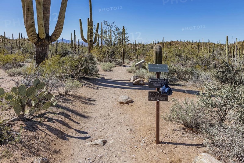 Trailhead for the Bajada Wash Trail at the Organ Pipe Cactus National Monument in southern Arizona, USA