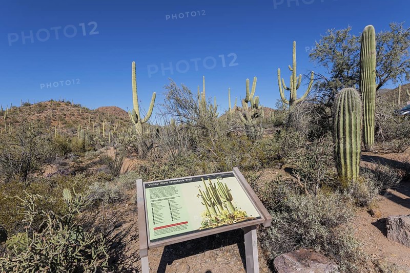 Sign along the Valley View Overlook Trail informs visitors of the plants and animals at the Organ Pipe Cactus National Monument in southern Arizona, USA